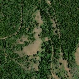 Satellite imagery of Buckley Ridge, US