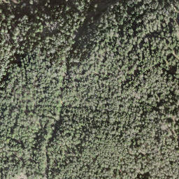 Satellite imagery of Crête du Seu, CH