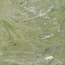 Satellite imagery of Greppon Blanc, CH
