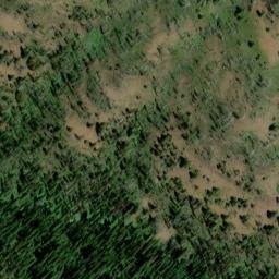 Satellite imagery of Buckley Ridge, US