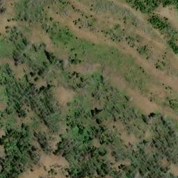 Satellite imagery of Buckley Ridge, US