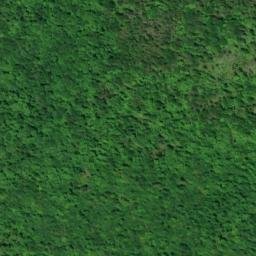 Satellite imagery of Whitman Point, CA