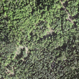 Satellite imagery of La Vatse, CH