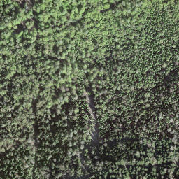Satellite imagery of La Vatse, CH
