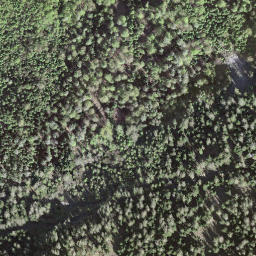 Satellite imagery of La Vatse, CH