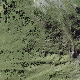 Satellite imagery of Prafleuri, CH