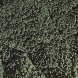 Satellite imagery of L'Uomo del Sasso, CH