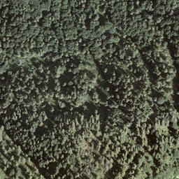 Satellite imagery of L'Uomo del Sasso, CH