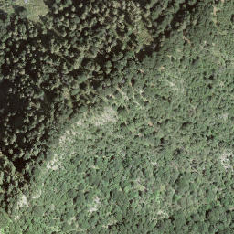 Satellite imagery of L'Uomo del Sasso, CH