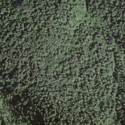 Satellite imagery of Motto della Costa, CH