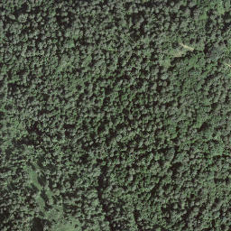 Satellite imagery of Motto della Costa, CH