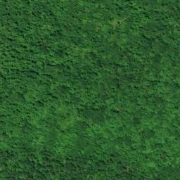 Satellite imagery of Whitman Point, CA