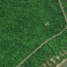 Satellite imagery of Whitman Point, CA