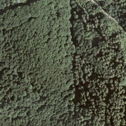 Satellite imagery of Cimetto, CH