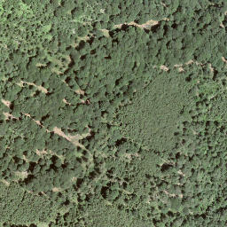 Satellite imagery of L'Uomo del Sasso, CH