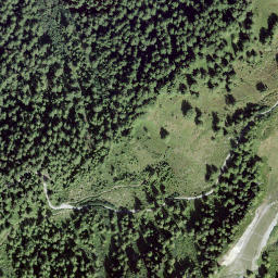 Satellite imagery of Savoleyres, CH