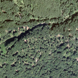 Satellite imagery of L'Uomo del Sasso, CH