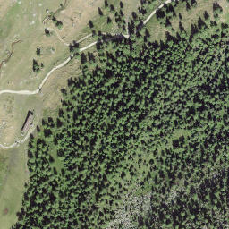 Satellite imagery of L'Arpette, CH