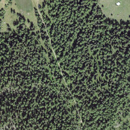 Satellite imagery of L'Arpette, CH