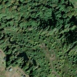 Satellite imagery of Rinearson Point, US