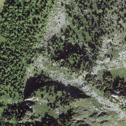 Satellite imagery of L'Arpette, CH