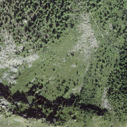 Satellite imagery of L'Arpette, CH