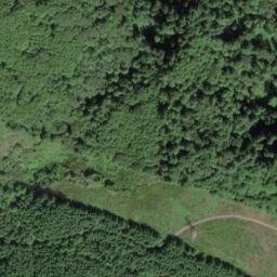 Satellite imagery of Skunk Cabbage Ridge, US