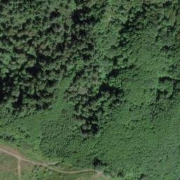 Satellite imagery of Skunk Cabbage Ridge, US