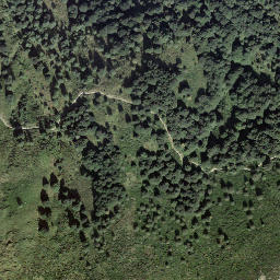 Satellite imagery of Caval Drossa, CH