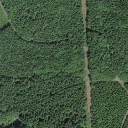 Satellite imagery of Skunk Cabbage Ridge, US