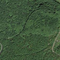 Satellite imagery of Skunk Cabbage Ridge, US