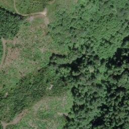 Satellite imagery of Skunk Cabbage Ridge, US