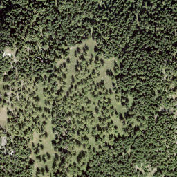 Satellite imagery of Col du Tronc, CH