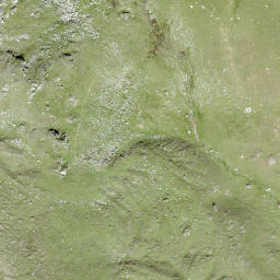 Satellite imagery of Arpilles, Pas d', CH