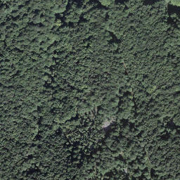 Satellite imagery of Covreto, CH