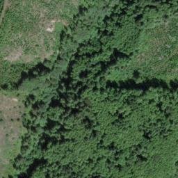 Satellite imagery of Skunk Cabbage Ridge, US