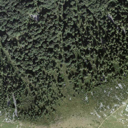 Satellite imagery of Covreto, CH