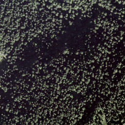 Satellite imagery of Le Temelet, CH