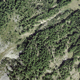 Satellite imagery of Plattjen, CH