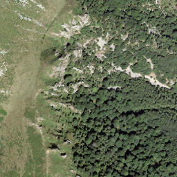 Satellite imagery of Covreto, CH