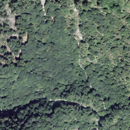 Satellite imagery of Camusio, CH