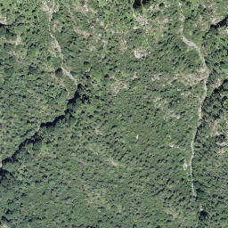Satellite imagery of Camusio, CH