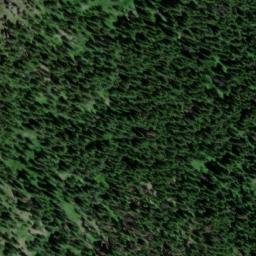 Satellite imagery of Dog Point, US