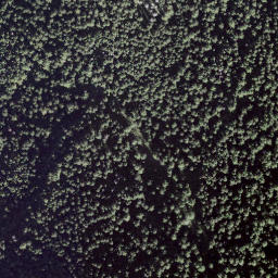 Satellite imagery of La Cheutse, CH