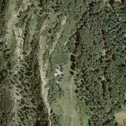 Satellite imagery of Monte Bigorio, CH