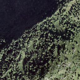 Satellite imagery of Mont de l'Arpille, CH