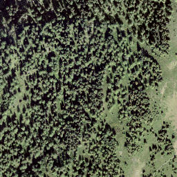 Satellite imagery of Mont de l'Arpille, CH