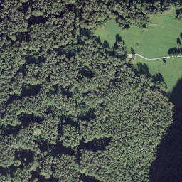 Satellite imagery of Face, Pas de la, CH