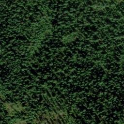Satellite imagery of Wolf Point, US