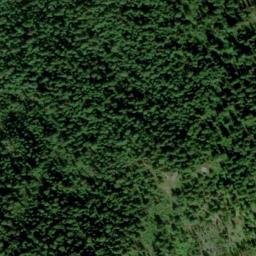 Satellite imagery of Wolf Point, US